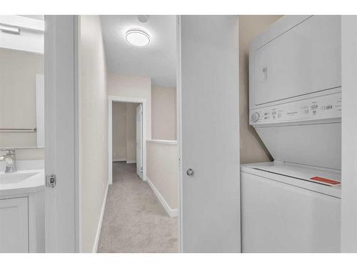 114-830 Centre Avenue Ne, Calgary, AB - Indoor Photo Showing Laundry Room