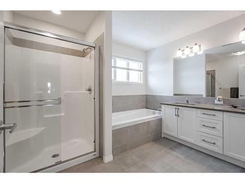 401 Clydesdale Way, Cochrane, AB - Indoor Photo Showing Bathroom