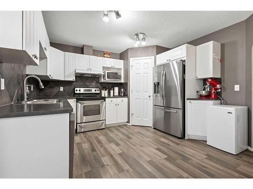 16 Saddlebrook Place Ne, Calgary, AB - Indoor Photo Showing Kitchen