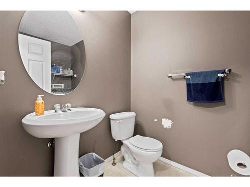 16 Saddlebrook Place Ne, Calgary, AB - Indoor Photo Showing Bathroom