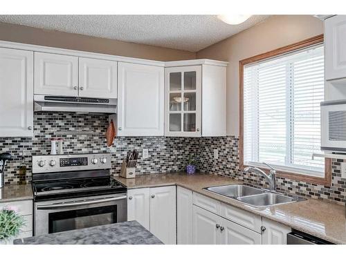 73 Applemont Place Se, Calgary, AB - Indoor Photo Showing Kitchen With Double Sink With Upgraded Kitchen