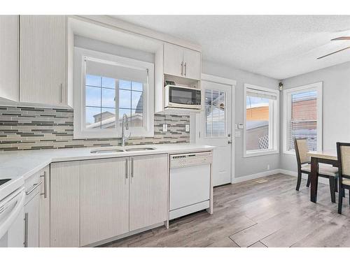 43 Martinbrook Link Ne, Calgary, AB - Indoor Photo Showing Kitchen With Double Sink