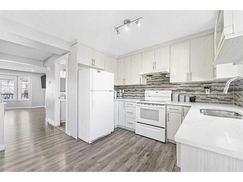 43 Martinbrook Link Ne, Calgary, AB - Indoor Photo Showing Kitchen With Double Sink