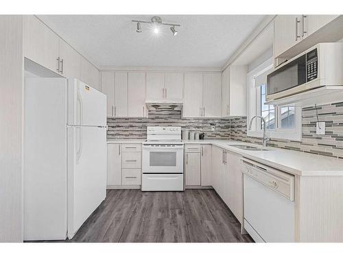 43 Martinbrook Link Ne, Calgary, AB - Indoor Photo Showing Kitchen With Double Sink