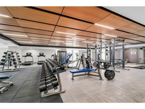 3509-1122 3 Street Se, Calgary, AB - Indoor Photo Showing Gym Room