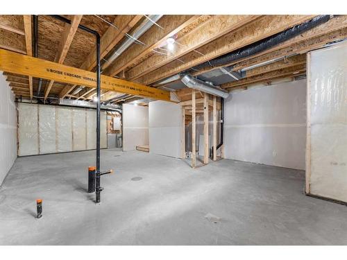 305-137 Red Embers Link Ne, Calgary, AB - Indoor Photo Showing Basement