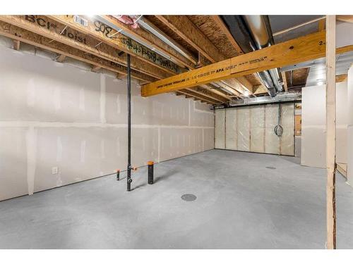 305-137 Red Embers Link Ne, Calgary, AB - Indoor Photo Showing Basement