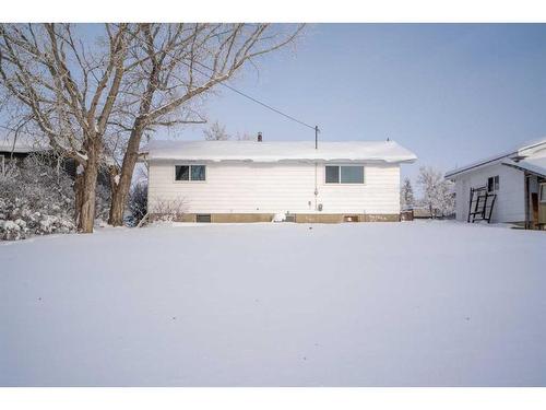 221 Frederick Avenue West, Standard, AB - Outdoor