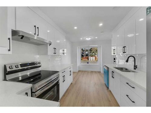 256 Abinger Crescent Ne, Calgary, AB - Indoor Photo Showing Kitchen With Stainless Steel Kitchen With Double Sink With Upgraded Kitchen