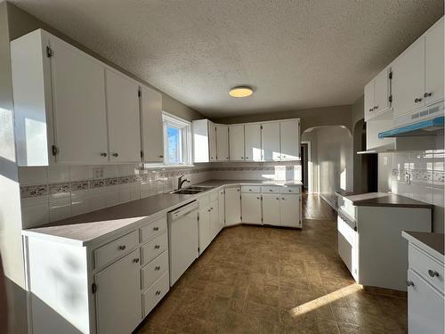 4618 48 Street, Olds, AB - Indoor Photo Showing Kitchen With Double Sink