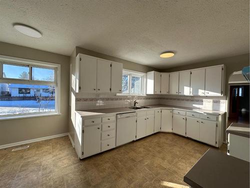 4618 48 Street, Olds, AB - Indoor Photo Showing Kitchen With Double Sink