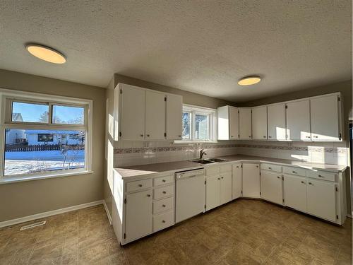 4618 48 Street, Olds, AB - Indoor Photo Showing Kitchen With Double Sink