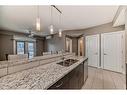 306-201 20 Avenue Ne, Calgary, AB  - Indoor Photo Showing Kitchen With Double Sink 