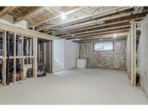 116 Auburn Glen Heights Se, Calgary, AB - Indoor Photo Showing Basement