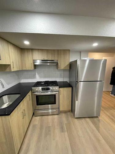 138 Tarawood Road Ne, Calgary, AB - Indoor Photo Showing Kitchen With Stainless Steel Kitchen