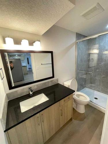 138 Tarawood Road Ne, Calgary, AB - Indoor Photo Showing Bathroom