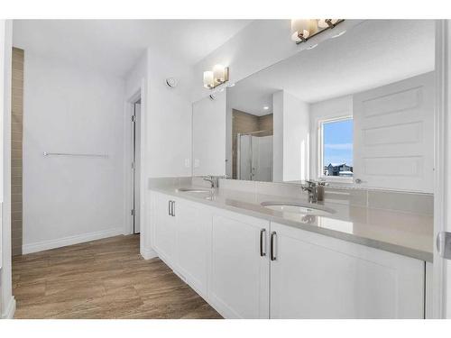 59 Belvedere Green Se, Calgary, AB - Indoor Photo Showing Bathroom