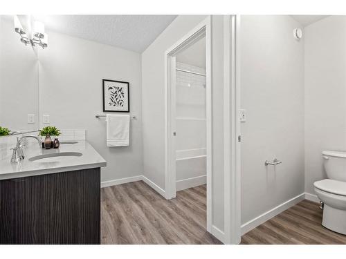 179 Wolf River Drive, Calgary, AB - Indoor Photo Showing Bathroom