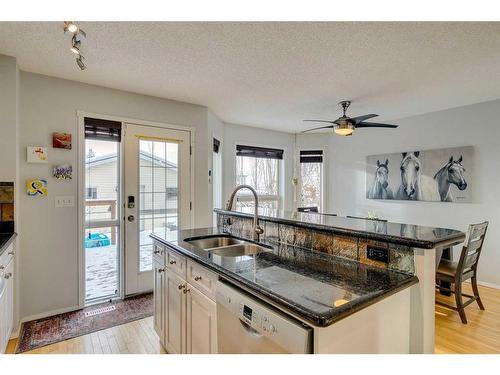 30 Covewood Place Ne, Calgary, AB - Indoor Photo Showing Kitchen With Double Sink