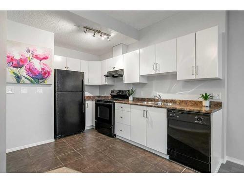 403-1053 10 Street Sw, Calgary, AB - Indoor Photo Showing Kitchen With Double Sink