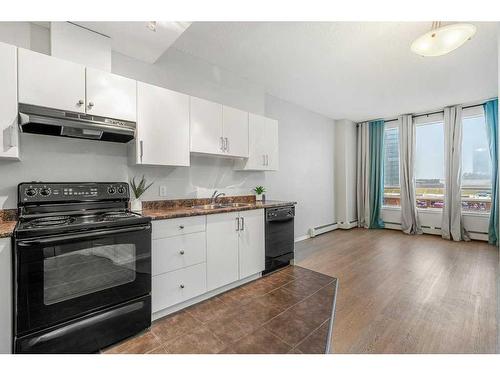 403-1053 10 Street Sw, Calgary, AB - Indoor Photo Showing Kitchen With Double Sink