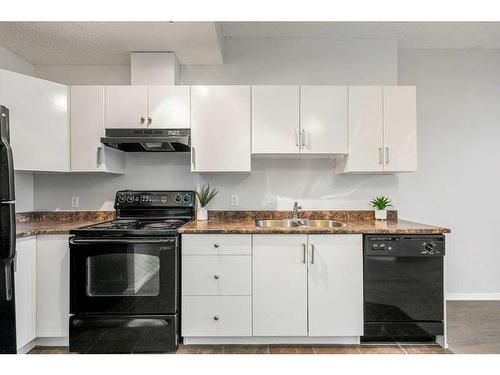 403-1053 10 Street Sw, Calgary, AB - Indoor Photo Showing Kitchen With Double Sink