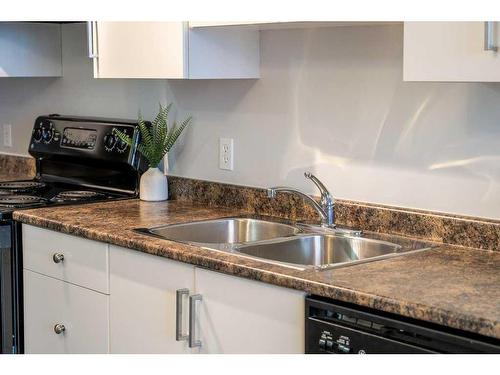 403-1053 10 Street Sw, Calgary, AB - Indoor Photo Showing Kitchen With Double Sink