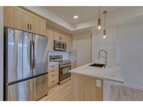 306-562 Seton Circle Se, Calgary, AB - Indoor Photo Showing Kitchen With Upgraded Kitchen