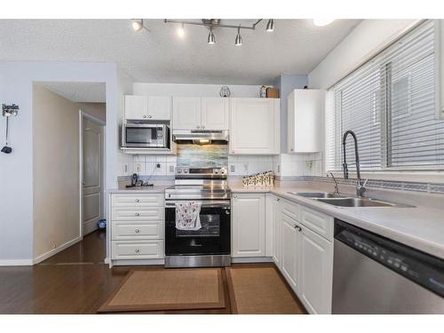 193 Tarington Close Ne, Calgary, AB - Indoor Photo Showing Kitchen With Double Sink