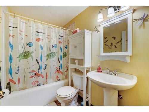 303 1 Street, Irricana, AB - Indoor Photo Showing Bathroom