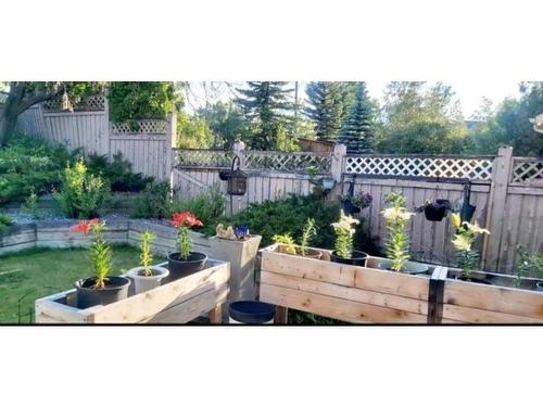 33 Shawnee View Sw, Calgary, AB - Outdoor With Backyard