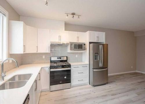 151 Redstone Drive Ne, Calgary, AB - Indoor Photo Showing Kitchen With Double Sink