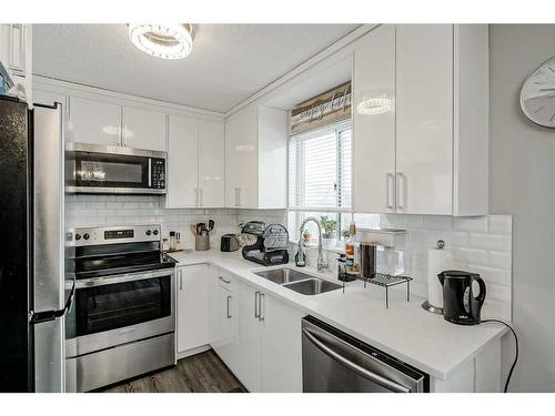 116 Falmere Way Ne, Calgary, AB - Indoor Photo Showing Kitchen With Stainless Steel Kitchen With Double Sink