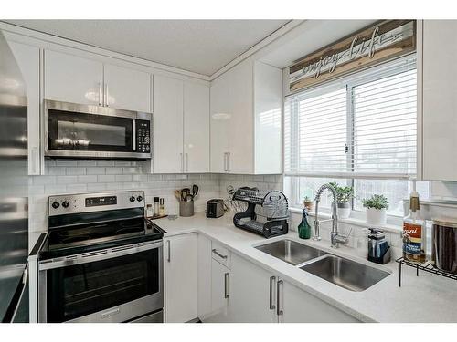 116 Falmere Way Ne, Calgary, AB - Indoor Photo Showing Kitchen With Stainless Steel Kitchen With Double Sink With Upgraded Kitchen