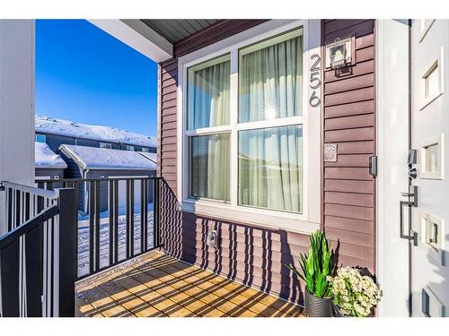 256 142 Avenue Nw, Calgary, AB - Outdoor With Deck Patio Veranda With Exterior