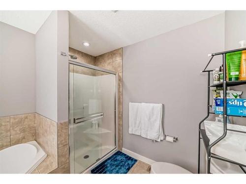 43 Baysprings Way Sw, Airdrie, AB - Indoor Photo Showing Bathroom