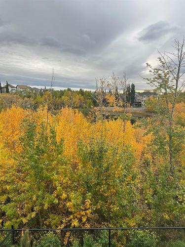 71 Royal Birch Cove Nw, Calgary, AB - Outdoor With View