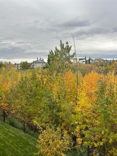 71 Royal Birch Cove Nw, Calgary, AB - Outdoor With View