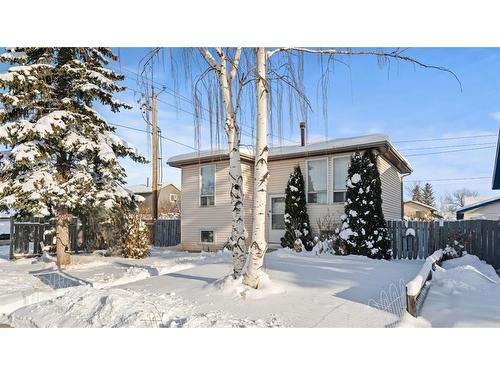 220 Castlebrook Way Ne, Calgary, AB - Outdoor