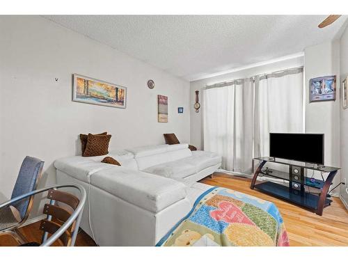 220 Castlebrook Way Ne, Calgary, AB - Indoor Photo Showing Living Room