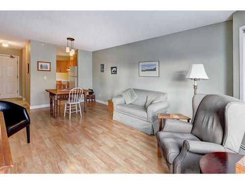 206-1206 Hawksbrow Point Nw, Calgary, AB - Indoor Photo Showing Living Room