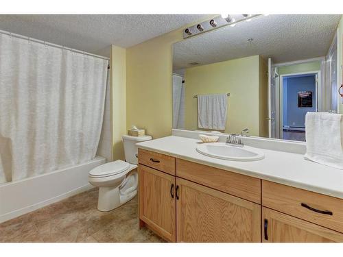 206-1206 Hawksbrow Point Nw, Calgary, AB - Indoor Photo Showing Bathroom