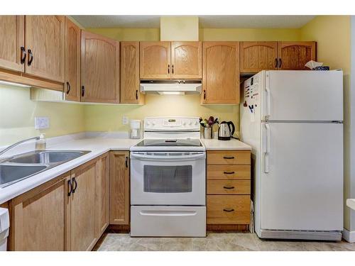 206-1206 Hawksbrow Point Nw, Calgary, AB - Indoor Photo Showing Kitchen With Double Sink