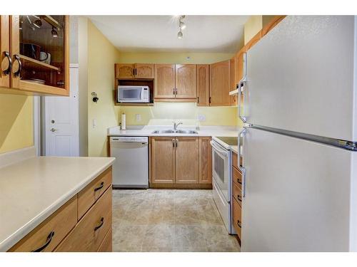 206-1206 Hawksbrow Point Nw, Calgary, AB - Indoor Photo Showing Kitchen With Double Sink