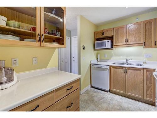 206-1206 Hawksbrow Point Nw, Calgary, AB - Indoor Photo Showing Kitchen With Double Sink