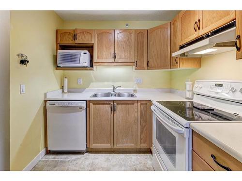 206-1206 Hawksbrow Point Nw, Calgary, AB - Indoor Photo Showing Kitchen With Double Sink