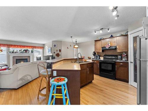 195 Cranberry Close Se, Calgary, AB - Indoor Photo Showing Kitchen With Fireplace With Double Sink