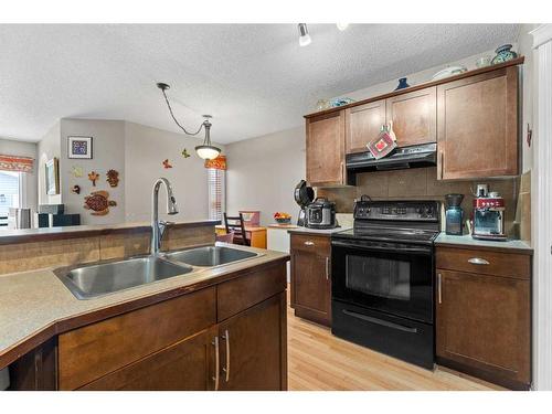 195 Cranberry Close Se, Calgary, AB - Indoor Photo Showing Kitchen With Double Sink