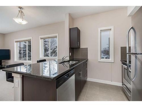 201-3950 46 Avenue Nw, Calgary, AB - Indoor Photo Showing Kitchen