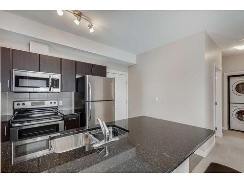 201-3950 46 Avenue Nw, Calgary, AB - Indoor Photo Showing Kitchen With Double Sink